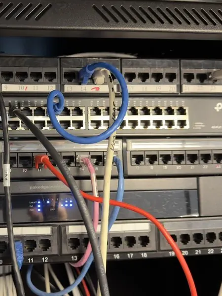 Patch panels and a 48 port network switch in the rack with only a few blue, black, red and pink patch leads connected