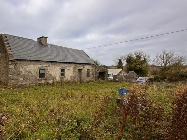 Ivy Cottage as found in its Roscommon field, a derelict stone cottage with a slate roof, a chimney and long grass to the walls
