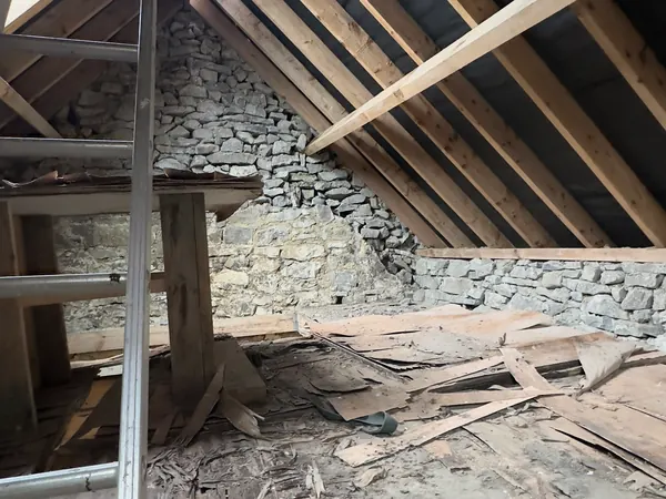 Inside Ivy Cottage in Roscommon as found, a collapsed upper floor, broken boards and a ladder under the old roof with a roof light