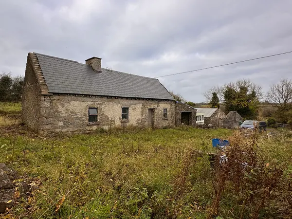Ivy Cottage in Roscommon as found, a derelict stone cottage with a slate roof standing in long grass with the land around it