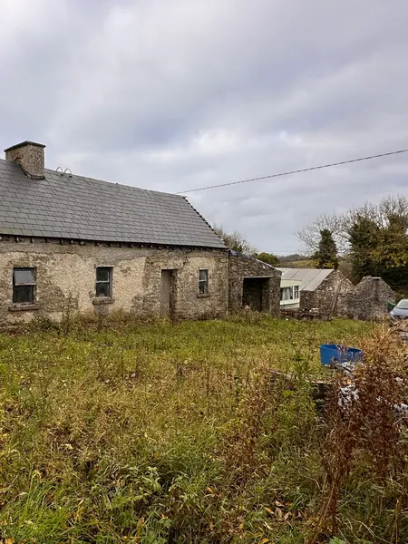 Ivy Cottage as found: a derelict single storey stone cottage in a Roscommon field with a slate roof, a chimney and long grass