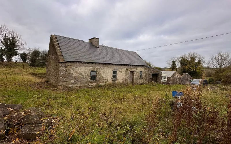 Vacant Property Refurbishment Grant Ireland: Ivy Cottage as found, a derelict stone cottage in a Roscommon field with a slate roof, a chimney and long grass around it