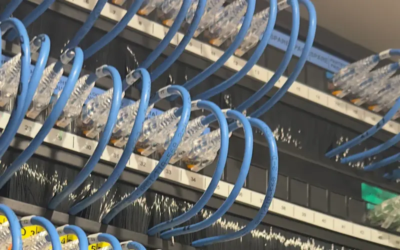 Structured cabling patch panel with blue leads in even loops