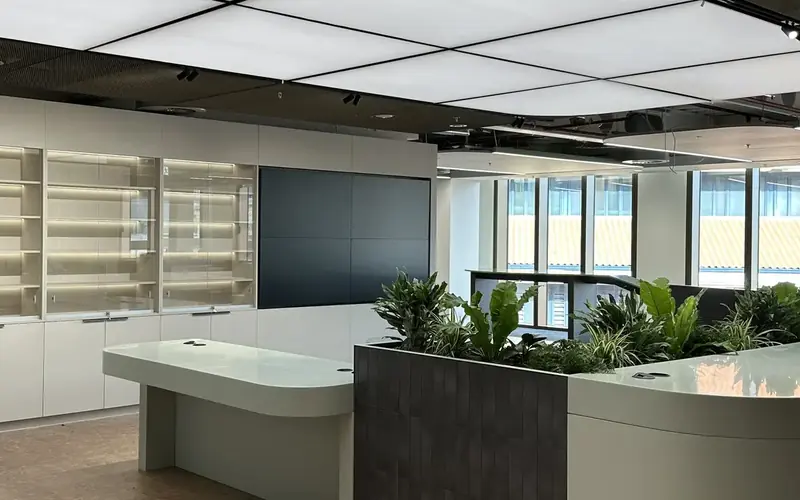 Office reception with a curved white desk, green plants and a display wall behind