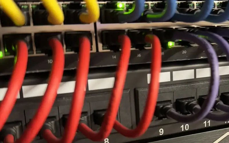 Numbered network ports with red and purple cables and green indicator lights